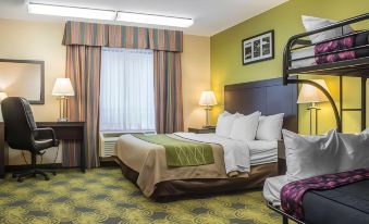 Comfort Hotel & Suites