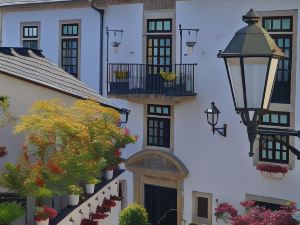 Hotel Monumento Pazo de Orban