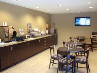 Microtel Inn & Suites by Wyndham Mineral Wells/Parkersburg - Wifi