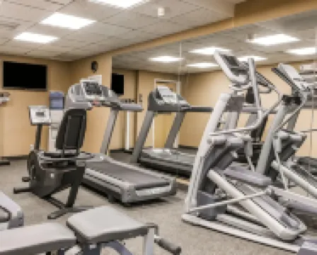 퀄리티 인 오번 힐