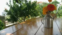 Aparthotel Paja
