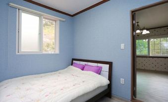 Gapyeong Cheongpyeong White Pension