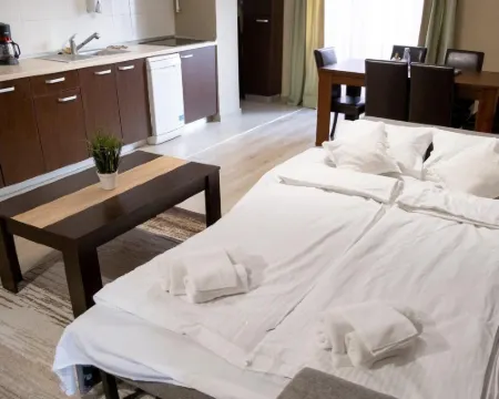 Apartment Family Rivulus Hotels in Baia Mare