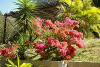 Vida Aventura Ranch Hotels in 