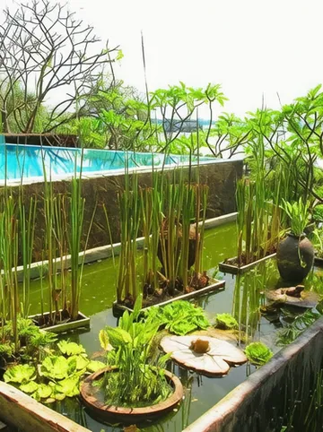 รูปภาพของทามารีน่า รีสอร์ท อ่างศิลา