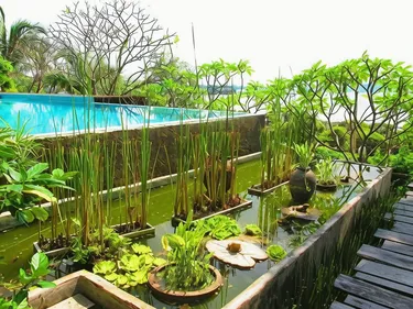 รูปภาพของทามารีน่า รีสอร์ท อ่างศิลา