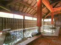 大江戸温泉物語 ホテル鬼怒川御苑 - バスタブ