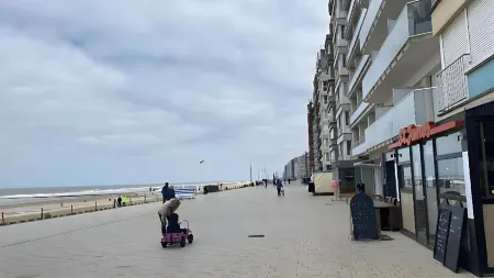 Central cozy fully equiped studio