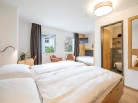 Hotel Meiringen Hotels in Meiringen