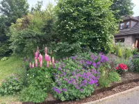 Deveron Lodge B B Guest House Hotels in 