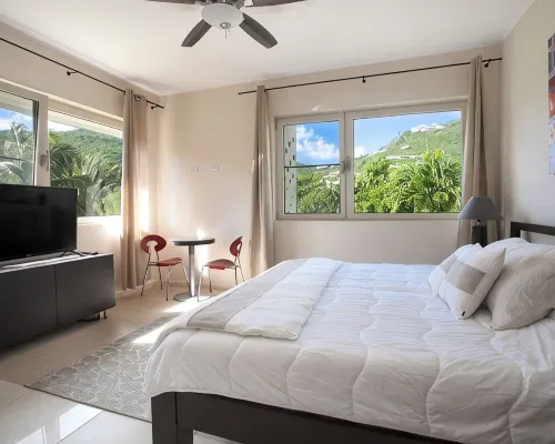 Direct Beachfront 6 BDR/en-suite /maid included. Excellent service. Rare gem (H) Hotels in Guana Bay