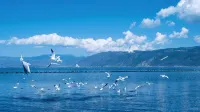 다리 산판 홈스테이 - 오션뷰