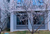 Order Apartment (Bazhou Taishan Road Branch)