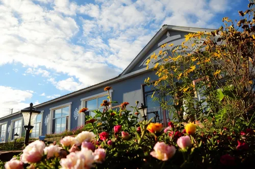 Chen Barhuqi Chagandaobu Youth Homestay - Homestays