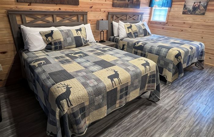 Cabin Unit 1 of 6 in amazing Paige with AC, WiFi