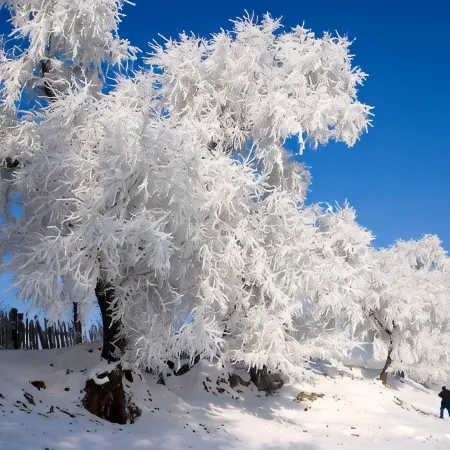 Snow Valley Hongbo Inn
