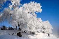 Snow Valley Hongbo Inn - 마운틴 뷰