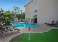 Best Western Plus Crown Colony Inn  Suites - Pet friendly