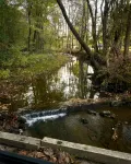 Creekside Cabin: Nestled in Woods, 30M Nashville - Wifi