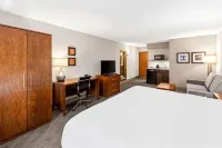 Comfort Inn West