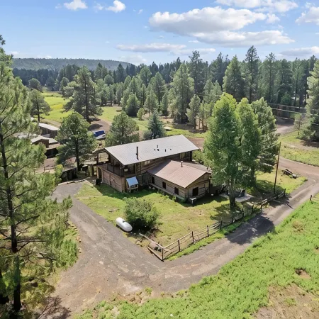 Renovated Historic Flagstaff Cabin, Trails, Hot tub