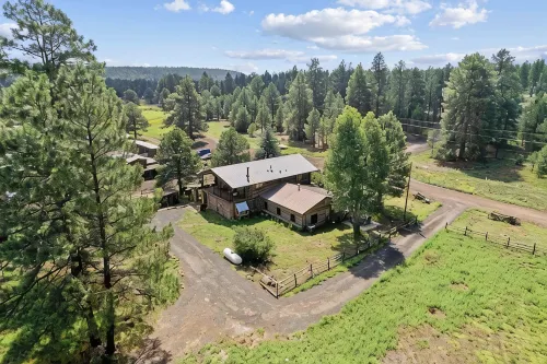 Renovated Historic Flagstaff Cabin, Trails, Hot tub - บ้านพักหลังเล็ก