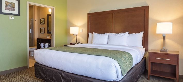 Comfort Inn Bentonville - Crystal Bridges Hotels in Benton County