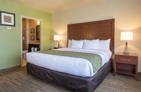 Comfort Inn Bentonville - Crystal Bridges