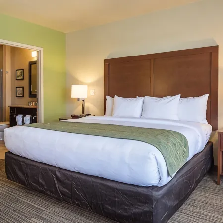 Comfort Inn Bentonville - Crystal Bridges