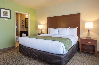 Comfort Inn Bentonville - Crystal Bridges Hotels in Bentonville
