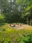 Deerwood Hill ~ après ski cabin • hot tub • fire pit • Stratton • Manchester - 5星級