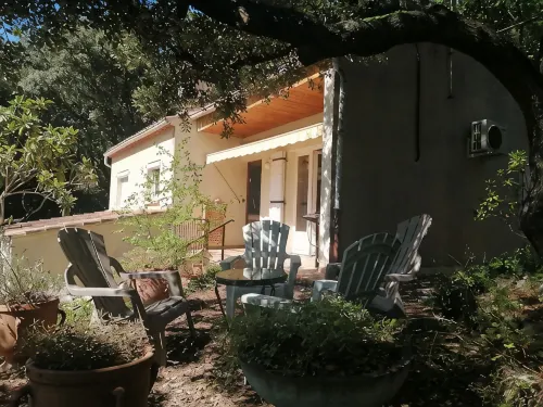 Cosy house, nestled in nature, 5 minutes from the center - Homestays