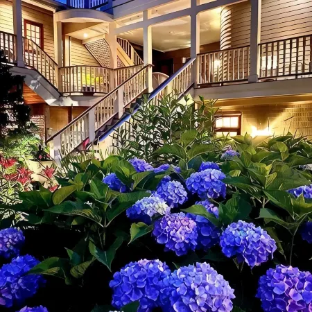 Hydrangea House Inn