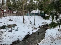 Sequoias Creekside2/Cozy Garden Cabin
