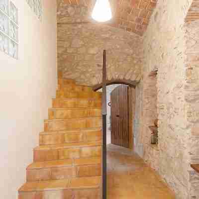 Can Feliu Apartment, Sant Daniel-girona Others