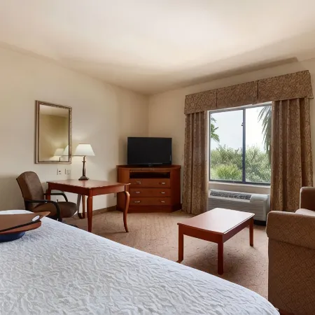 Hampton Inn & Suites Pharr