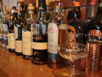 Forest Inn Sangoro - bars