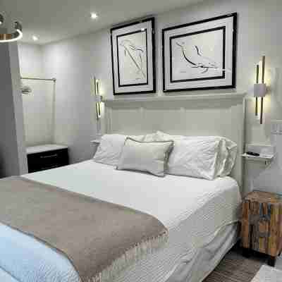 Magical OceanFront home  in Capistrano Beach. All the comforts of home and more! Rooms