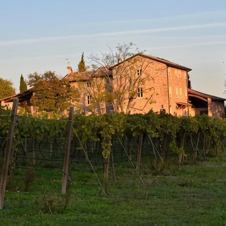 Le Palazzole
