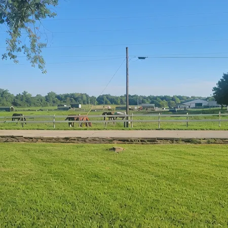 Quiet country feeling in the city. 3 bed 2 bath.