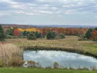 Home of the NASCAR Cup Series! Unwind at a one-of-a-kind countryside retreat.