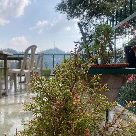 Zu-Zu Hostels