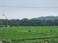 남해 촌캉스