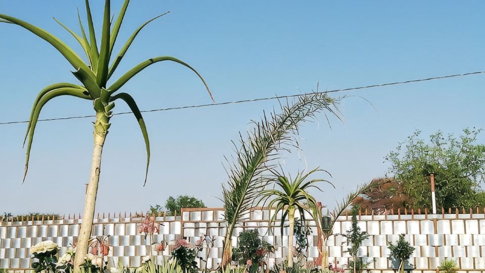 Masane Lodge