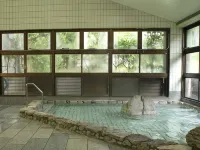 NATURE HOTEL NARUKAWA - น้ำพุร้อน