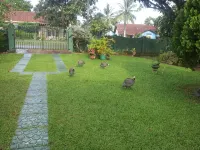 Mama's Hostel by Taprobane - Villas