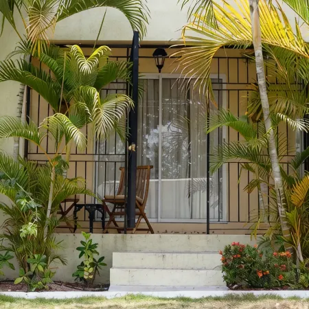 New Kingston Guest Apartment VII