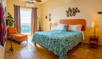 Villa Isabella - Oceanfront - 10 guests - pet friendly - at Stella, Rincón