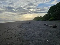 Beautiful 2bd 2 ba villa w/lush yard, gated community 15 min from Manuel Antonio - Villas