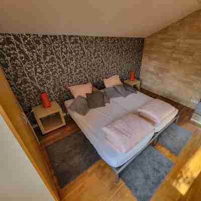 On your terrace at the foot of an oak tree, feel the Alsace's vibes ! Rooms